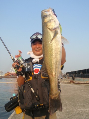 k3fvo9wokibwewon8hpc_480_480-72162c07.jpg
