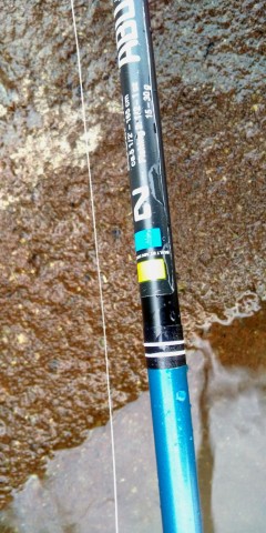 k3ive96nh43ncvmrw3tw_480_480-b28e0902.jpg