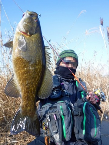 k3pck79ox4kbadefkf82_480_480-46d54479.jpg