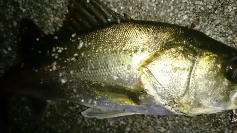 k3rc2vh793gyo7zs8rwr_920_518-48690f76.jpg