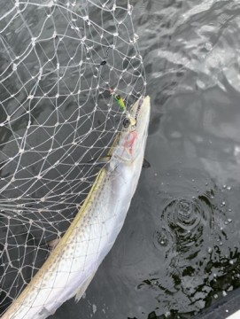 k3uuhoab65kk4nnj42n3_361_480-849cc4a6.jpg