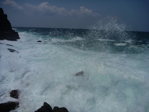 k3vgeyj5r9fz8ygdvv65_480_480-b551706a.jpg
