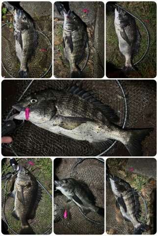 k3wkpsb47pt85mzsoo94_480_480-d0a1eff5.jpg