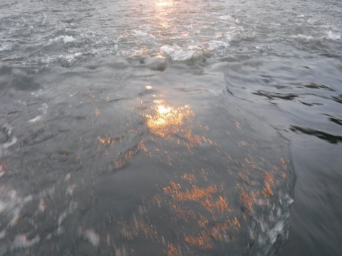 k428bmbekga4vimzk89r_480_480-e4061a97.jpg