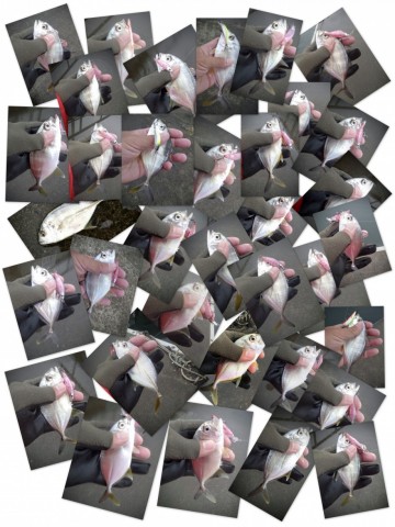 k4364f943xck7g36xzct_480_480-39a0ad4c.jpg