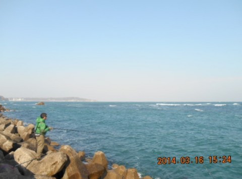 k44jszzugt43j9hzgd4p_480_480-cb1c9f1a.jpg