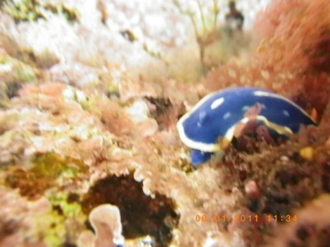 k45t999ib2h9iydju9wh_920_690-84267ec9.jpg