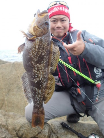 k45vsx5vjs7twku98kjg_690_920-ea78ab3c.jpg