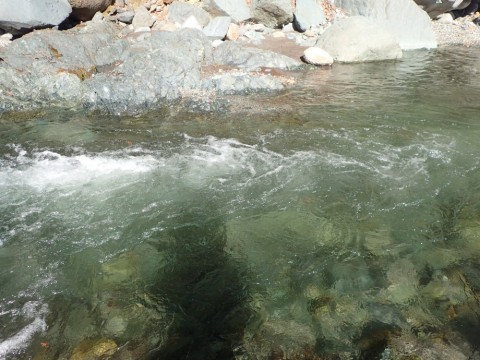 k468y86dsarykefsdjse_480_480-61348098.jpg