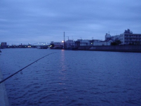 k46hyjrpzwi68sf5ktoy_480_480-7f21ef9b.jpg