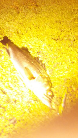 k4bc75xhukjfbh4nidud_518_920-3ab47472.jpg
