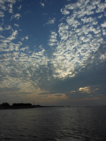 k4iimtgbcb3miieovcfx_480_480-fa850a17.jpg