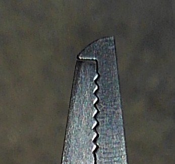 k4rf28vzsgmc9mkouoyd-041455ac.jpg