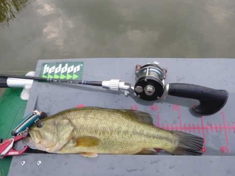 k4rjzkor5dckt47jydej_480_480-c296f750.jpg