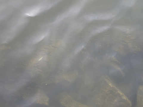k4rorby78bm52dpg9mjk-c602490f.jpg