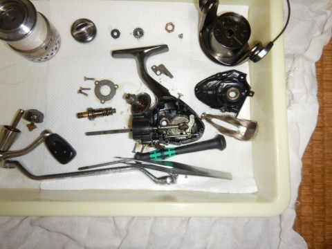 k4wmtybncvanpjdiy79i_480_480-50194541.jpg