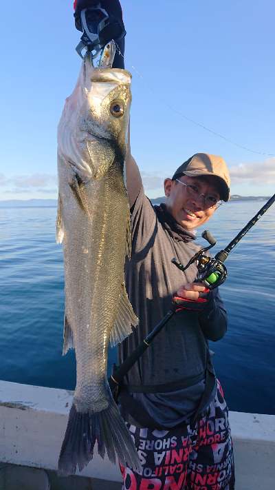 釣れよんな Newラテオrベイトモデル 釣れよんな Newラテオrベイトモデル