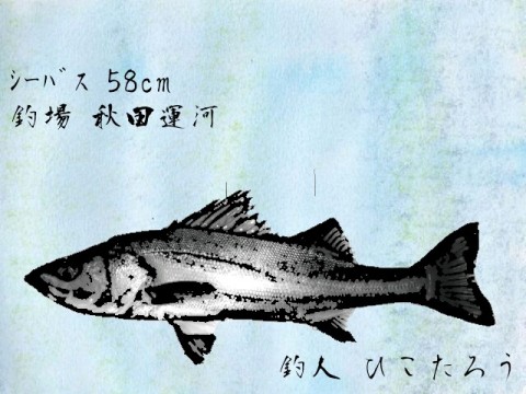 k55vxzsj8xc7bmbymsgk_640_480-1363b5f6.jpg