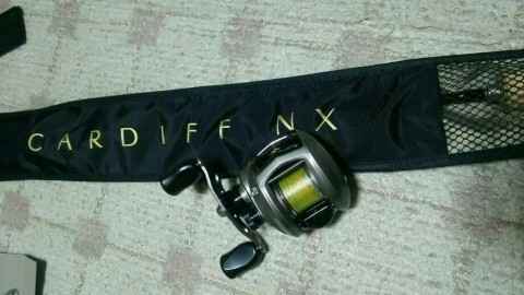 k5f8m7mhwrbwyxnhtyta_920_517-55a36775.jpg