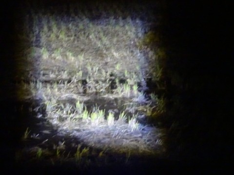 k5fisdcesb3ecna8ydbe_480_480-ee2492b5.jpg