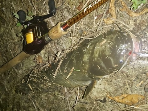 k5uvohy5jtvn33ikmyj5_920_690-b0745e39.jpg