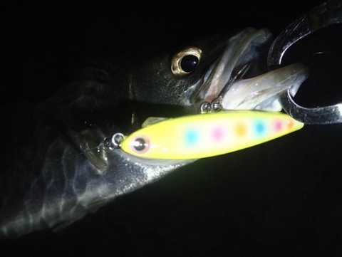 k6ac9yoxjbsb3wjmkotr_480_361-5c69cc48.jpg