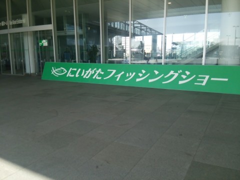 k6fojbbmu2patwwyv2gy_480_480-5d08cc3f.jpg