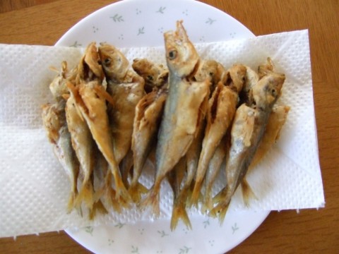 k6jyxfjtujwtmis8dv3i_480_480-3a3bc2cc.jpg