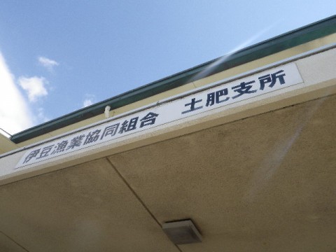 k6km7gtsnyupcpjeua72_480_480-89a0fa87.jpg