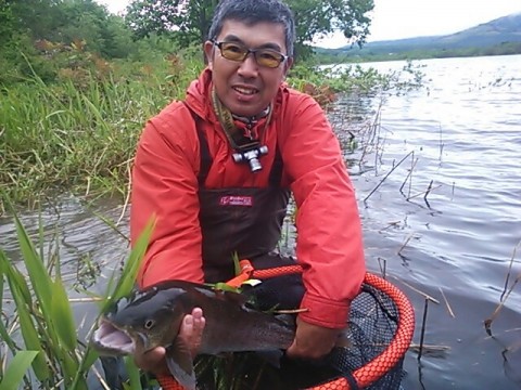 k6pgxcybwm3838amvpdu_640_480-7f91a075.jpg