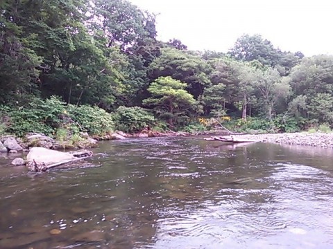 k72pejbvgtdawshcdgk5_640_480-6f91ef74.jpg