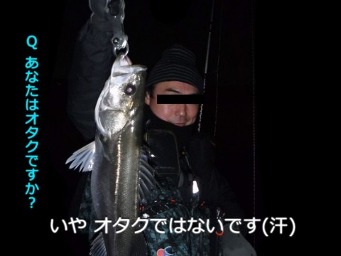 k738ctt6xx8p3kp8k6g6_480_480-13d04be1.jpg