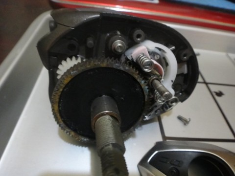 k7e8wzmh78a9nnyciygb_480_480-e5721325.jpg
