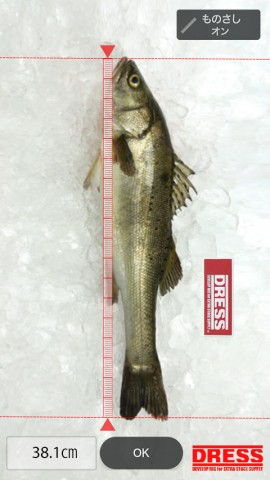 k7i3jno74tu5sgrbsgd6_480_480-65591fcb.jpg