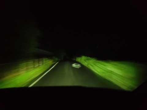 k7p7a4jo49a97ecxvcgg_480_480-e0268045.jpg