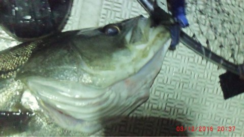 k84bggjb99x8mwr6r4d8_920_518-7844e0dd.jpg