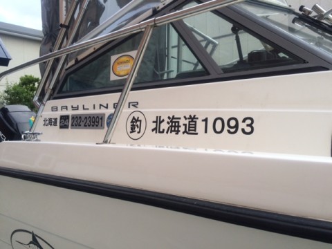 k84ozygt5krwr6dv2vic_480_480-0aa1b35e.jpg
