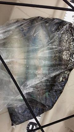 k873jpprs66iytrdct4a-a5129ef2.jpg