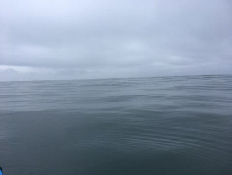 k8cmgh9bix8wkbuivnoe_480_361-ebb67825.jpg