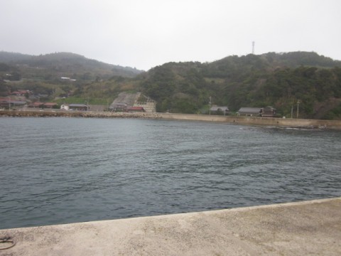 k8gzguhsobi9esa9ft7m_480_480-d83583fd.jpg