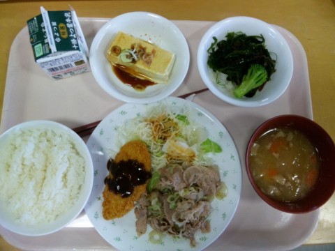 k8mhi53pgaeuuutdr9vh_480_480-f0bcc74d.jpg