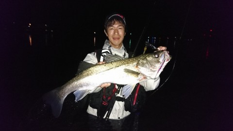 k8o65bret34ziyd9zgwm_768_432-301f60f8.jpg