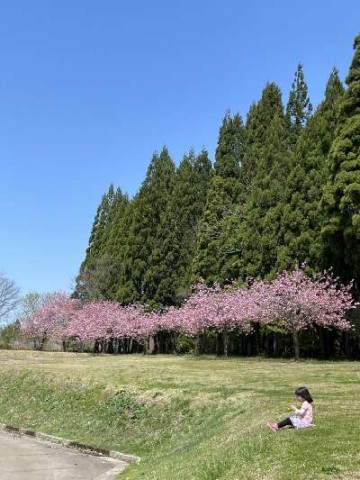 k8t52pztx5s8276rk62u_480_480-a221e6b3.jpg