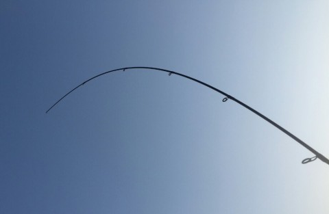 k8whshhx5armpkiena3n_920_599-f2a4ef4d.jpg