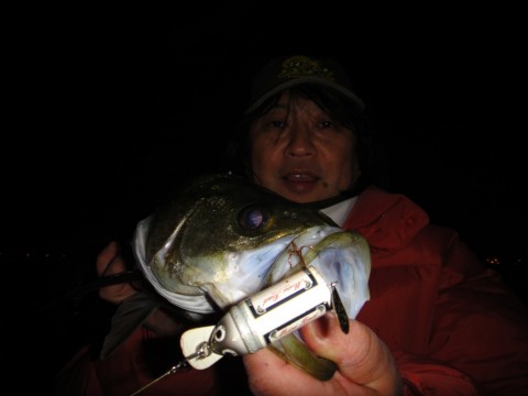 k8wyrkx9vfrmsgh2pgx2_480_480-97963b09.jpg