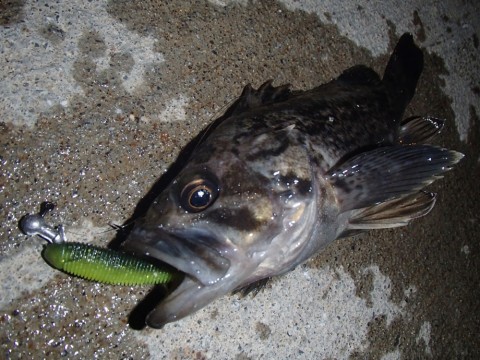 k9fyfj6wduked5hfskfy_920_690-da522231.jpg