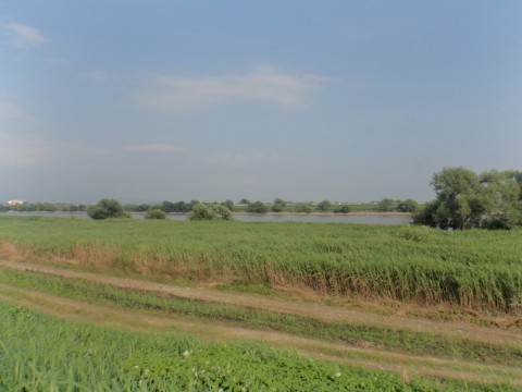 ka5dt5jcy7w5zawx7wg7_480_480-7db6df02.jpg