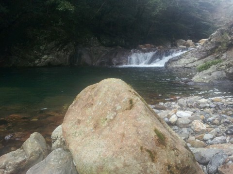 kaae9h6f4znf362vy82v_920_690-1b68849a.jpg