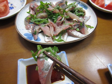 kaiok3mr3ixb66g5a7be_480_480-d3442a7d.jpg
