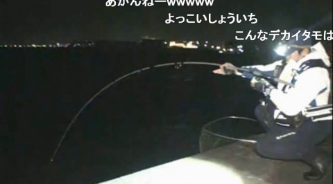 kani3oc4rk8hbmagavg8_480_480-719a07eb.jpg